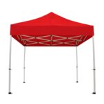 Toldo Plegable  Premium 2x2 Lona Oxford Engomado - Imagen 5